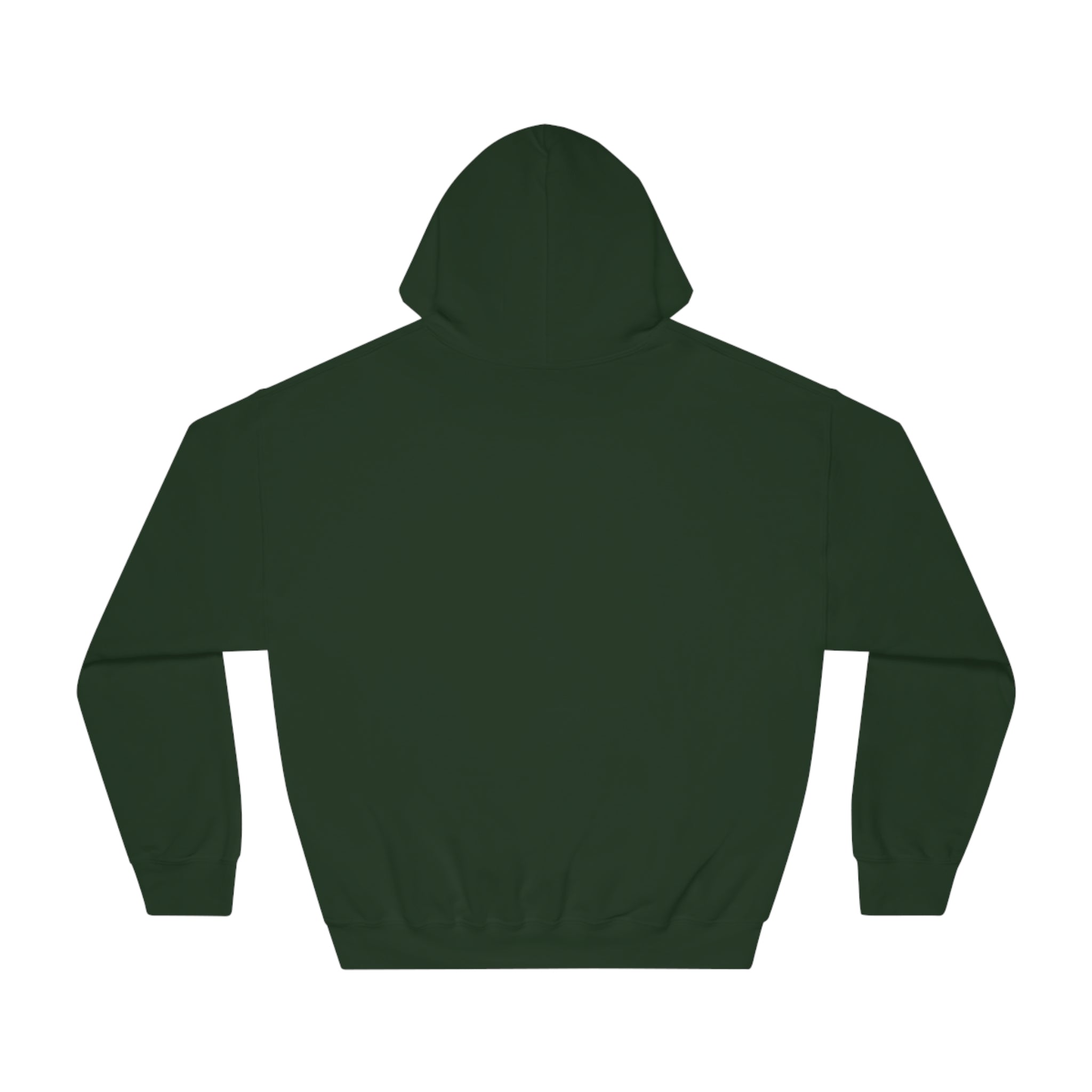 Sober Guy-Hooded Sweatshirt-Heroes Collection