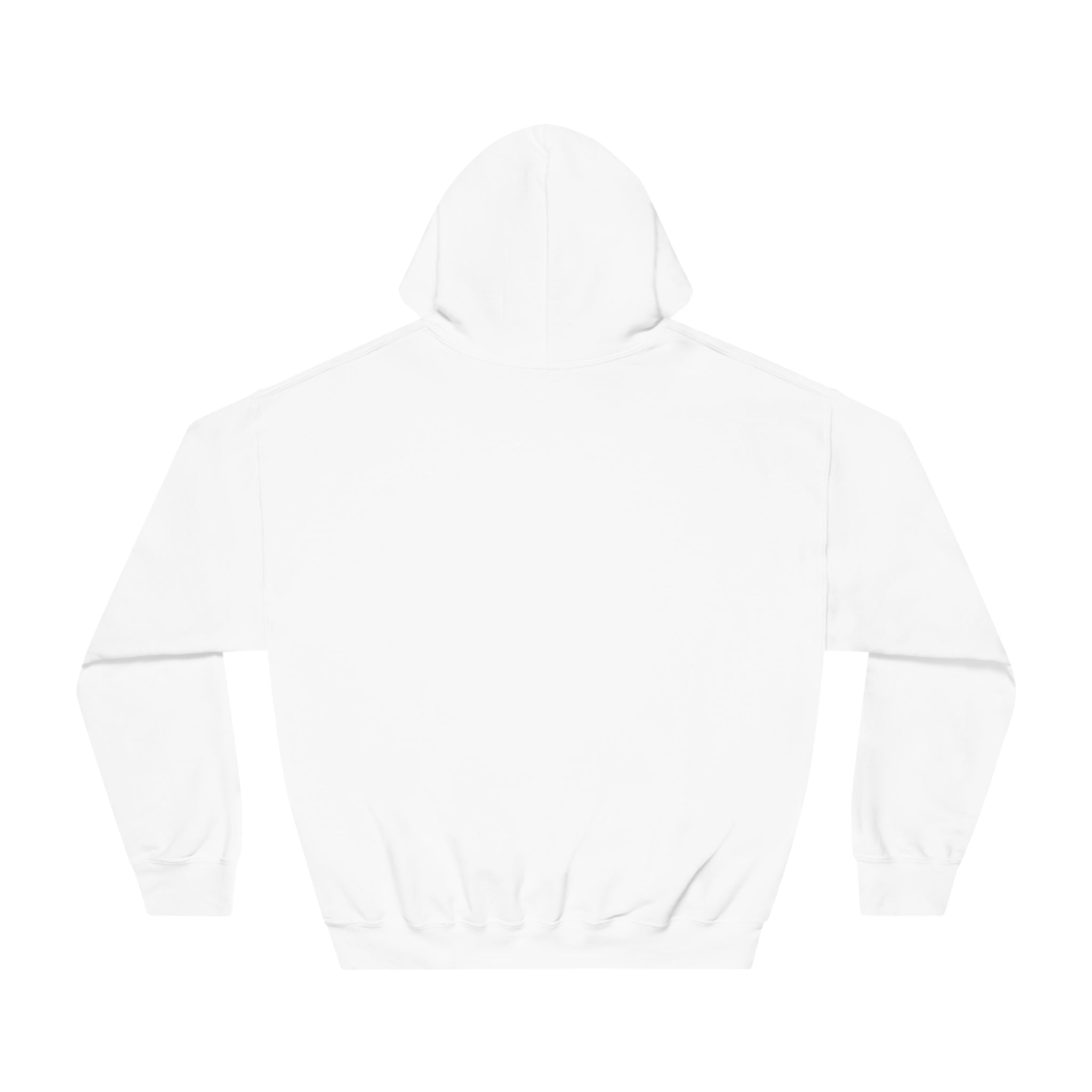 Sober Guy-Hooded Sweatshirt-Heroes Collection