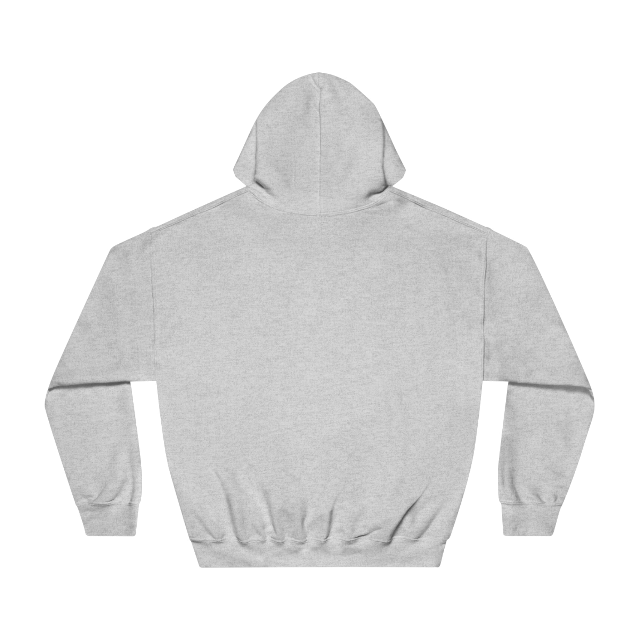 Sober Guy-Hooded Sweatshirt-Heroes Collection